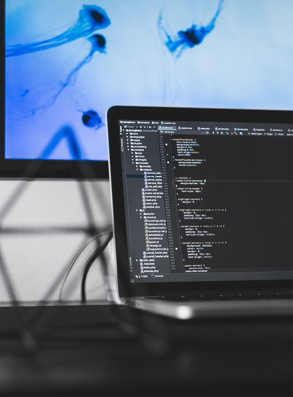 Original Bookkeepix portfolio cover: a software development workspace